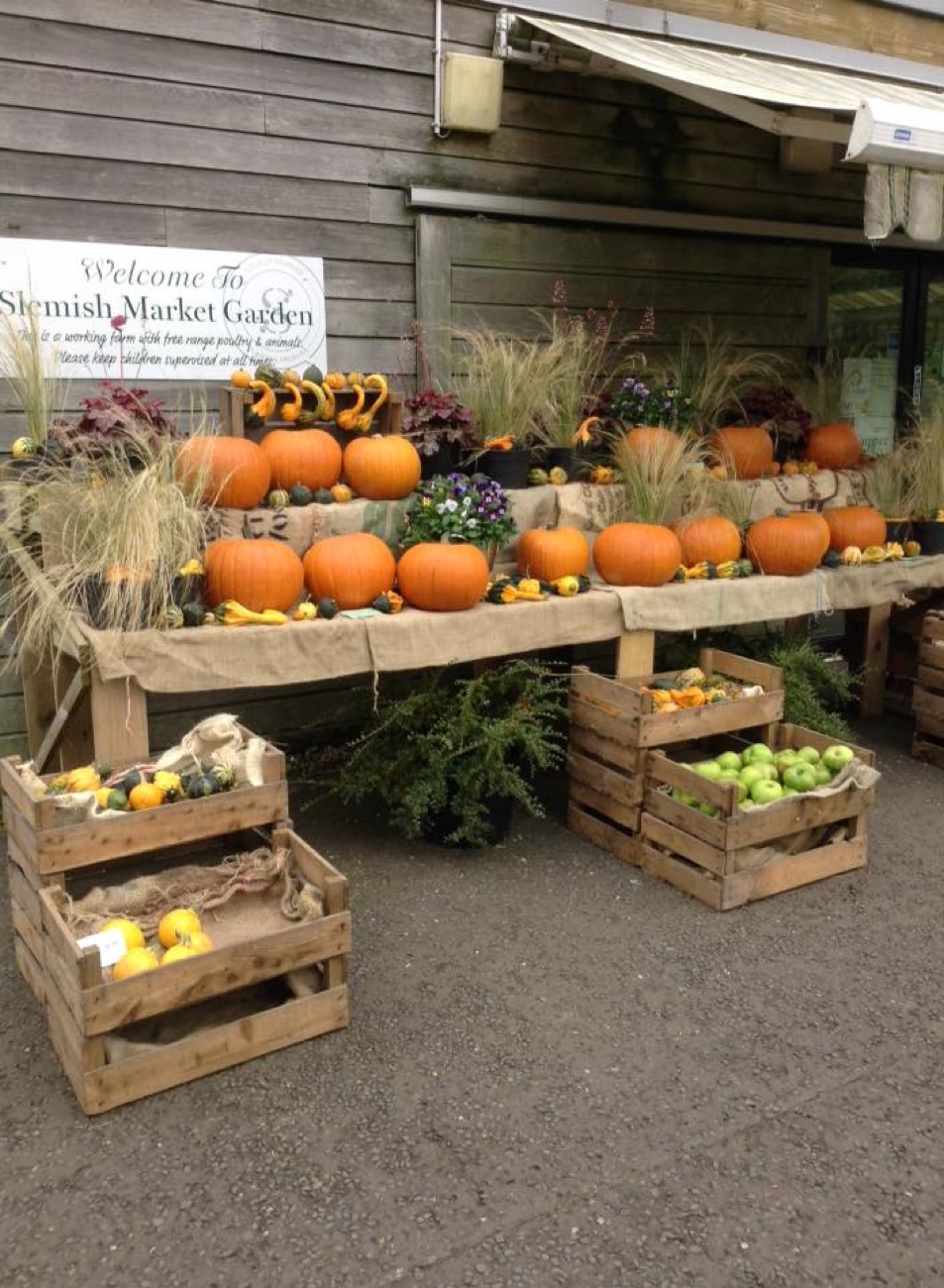 Pumpkins and gourds stacked on straw outside the entrance in autumn
