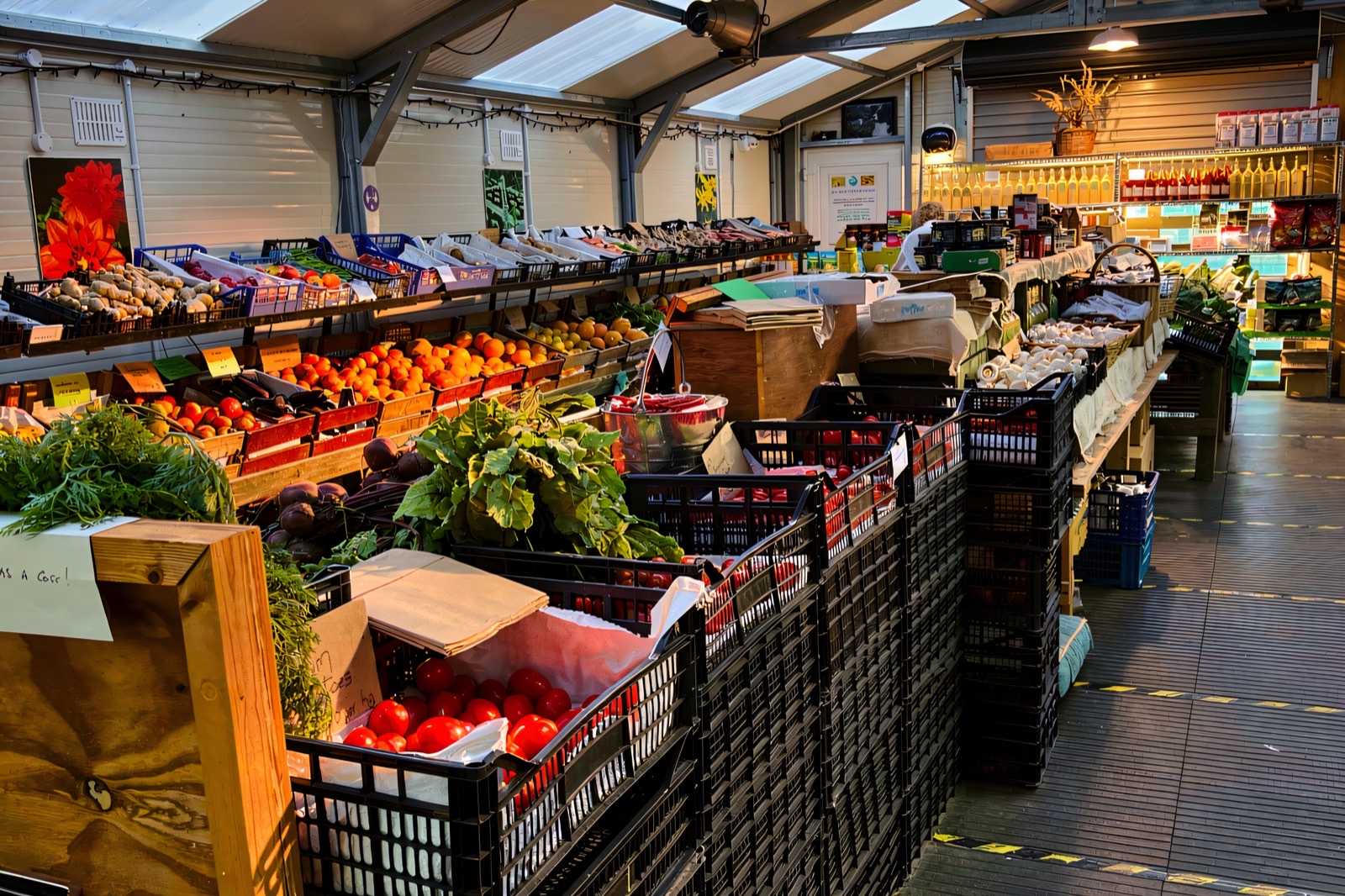 The long glasshouse interior of Slemish Market Garden, rows of vegetable crates running away under a glazed roof