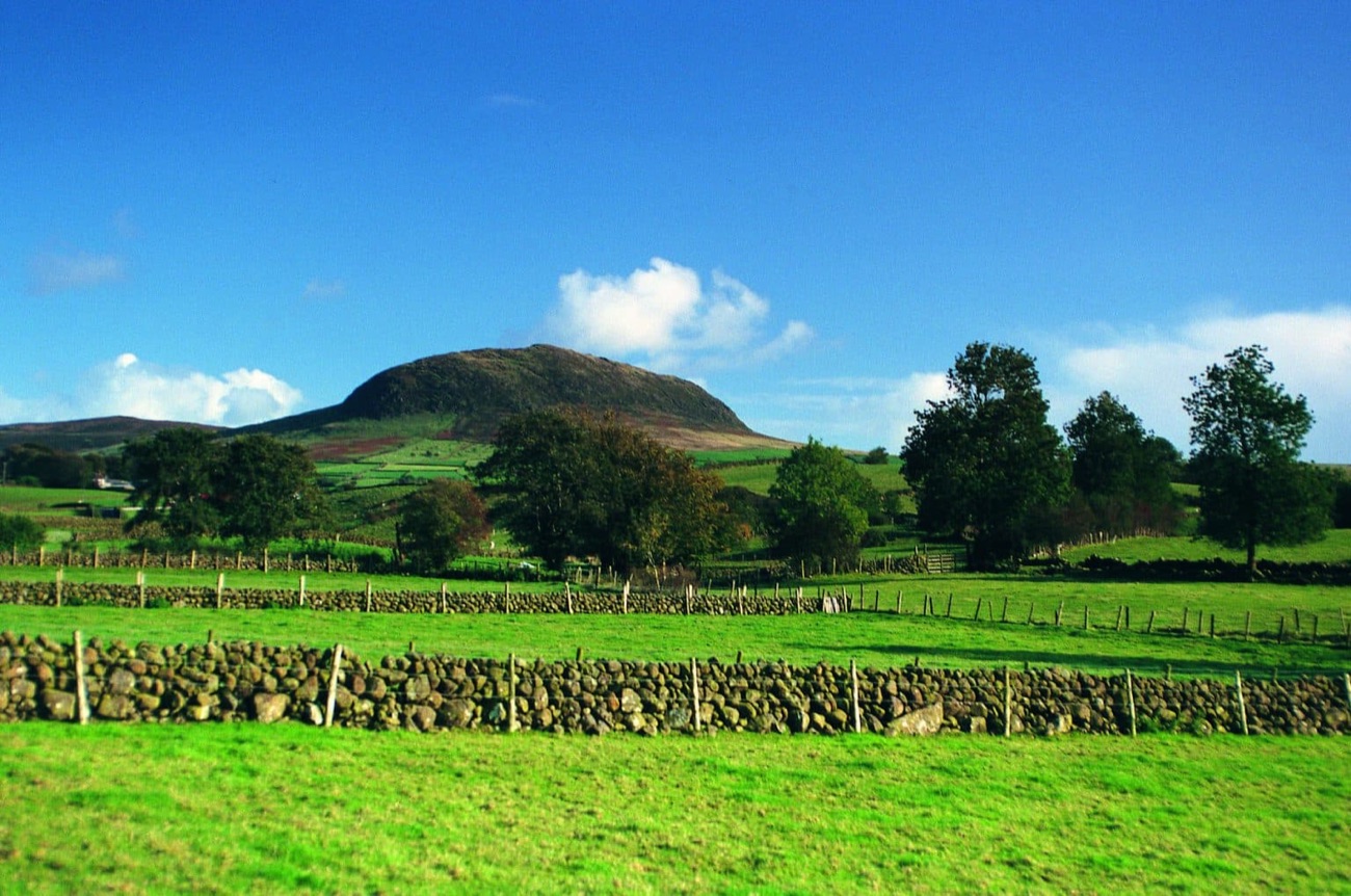Slemish seen beyond dry-stone walls and green fields under a blue sky