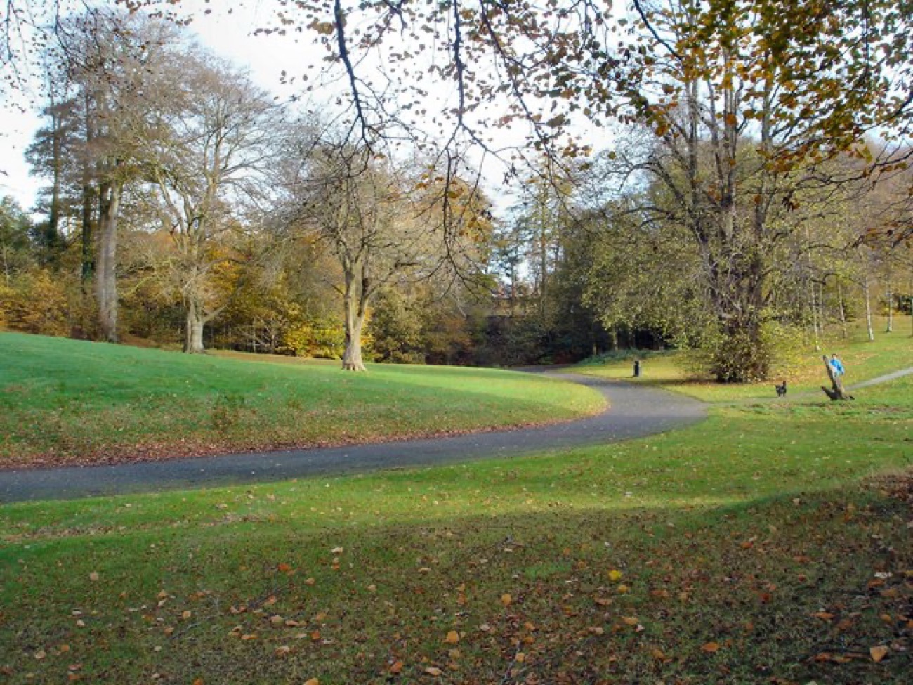 An autumn walk along a path through St Columb's Park