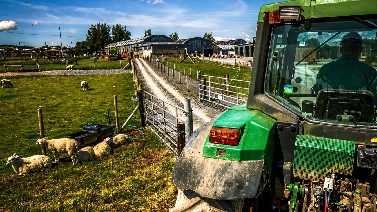 A green tractor beside grazing sheep with the farm buildings behind on a sunny day