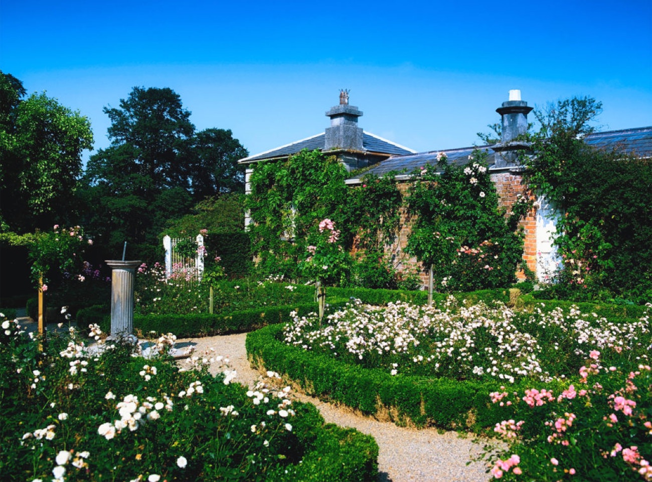 The rose garden at The Argory with a stone sundial, clipped box hedges and beds of pink and white roses under a blue sky