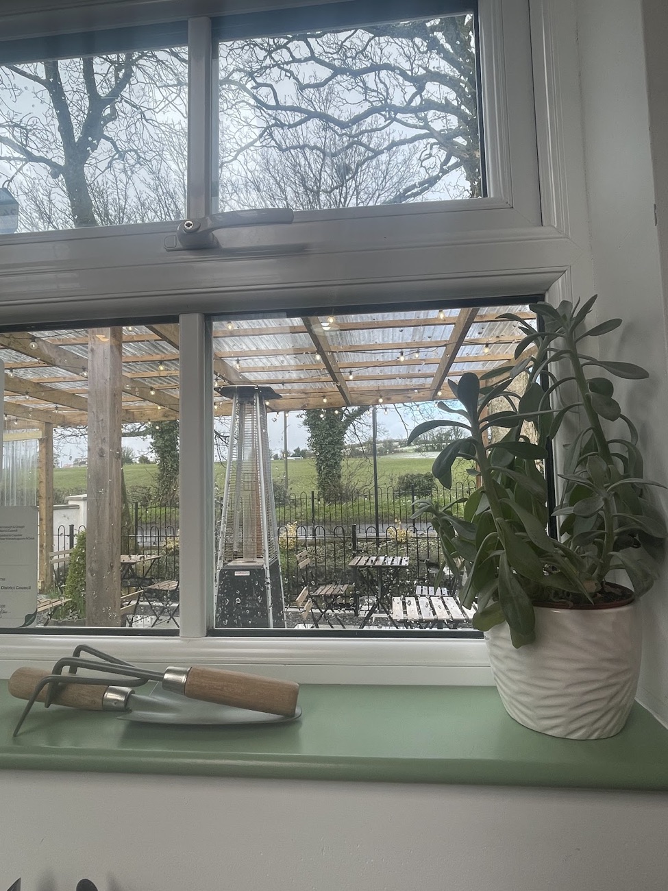 A plant on the windowsill of The Croft, looking out to the pergola and the trees beyond