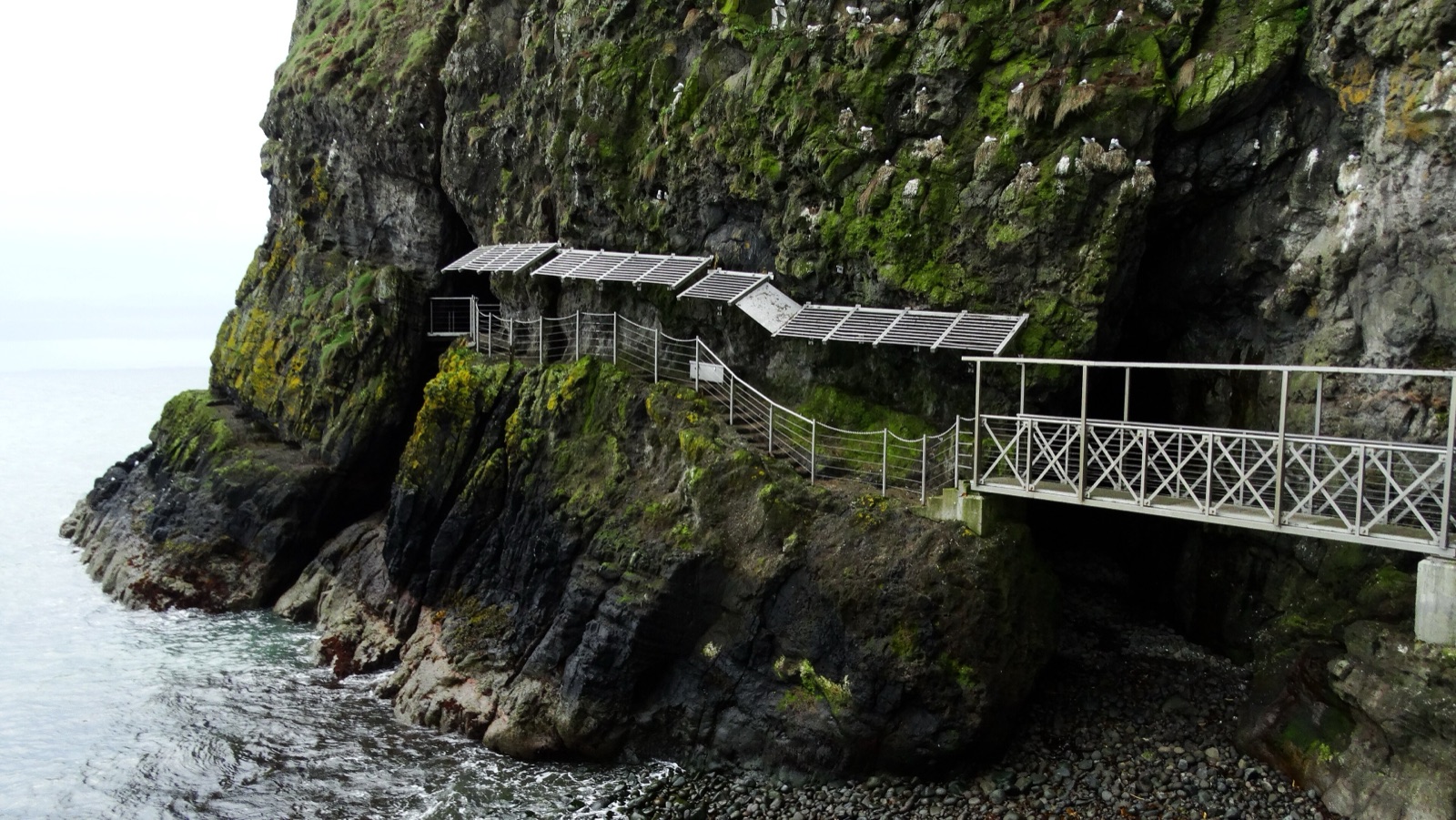 A narrow railed walkway on The Gobbins hugging the cliff face above the sea
