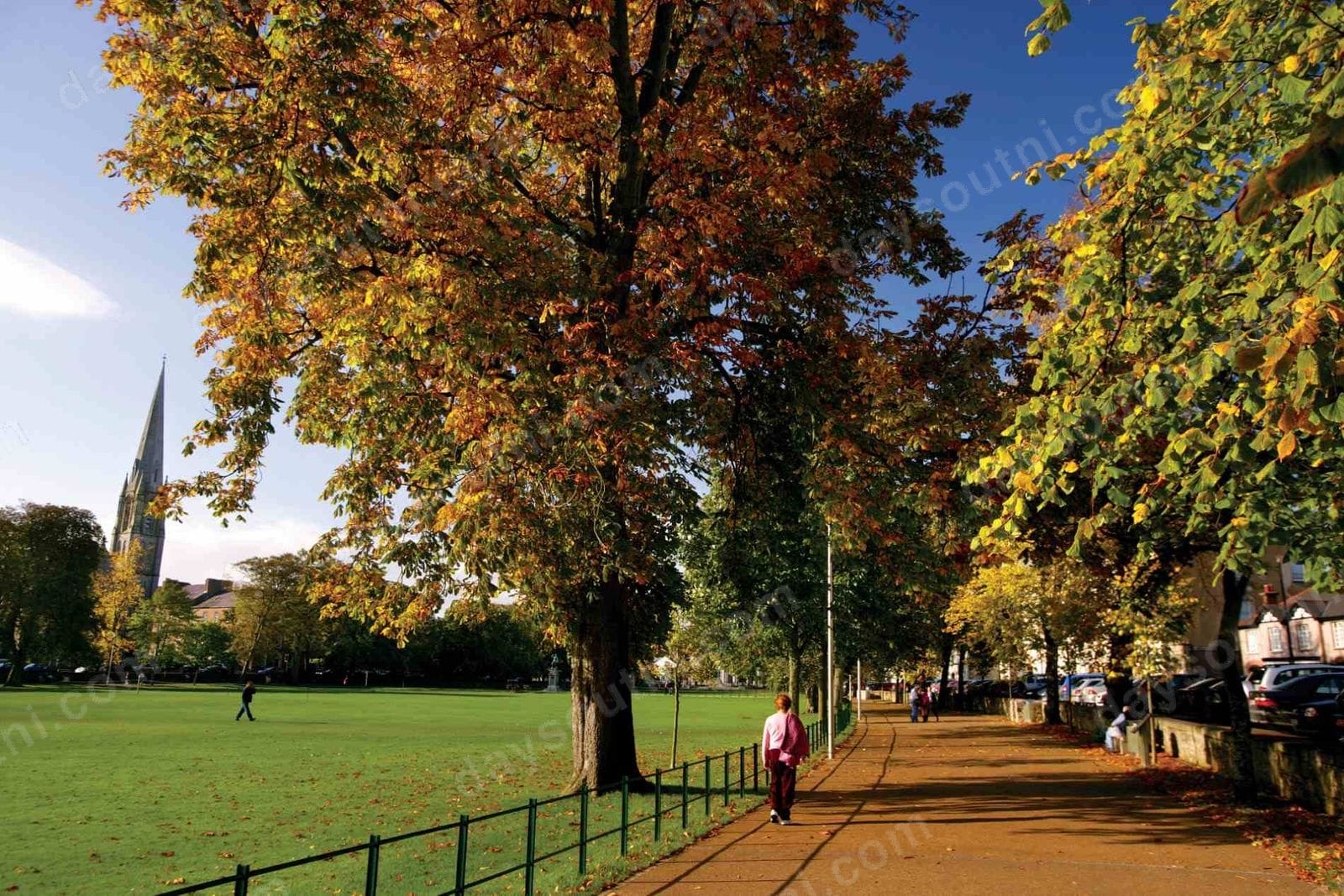 The tree-lined Mall in Armagh in autumn, with a cathedral spire beyond the green