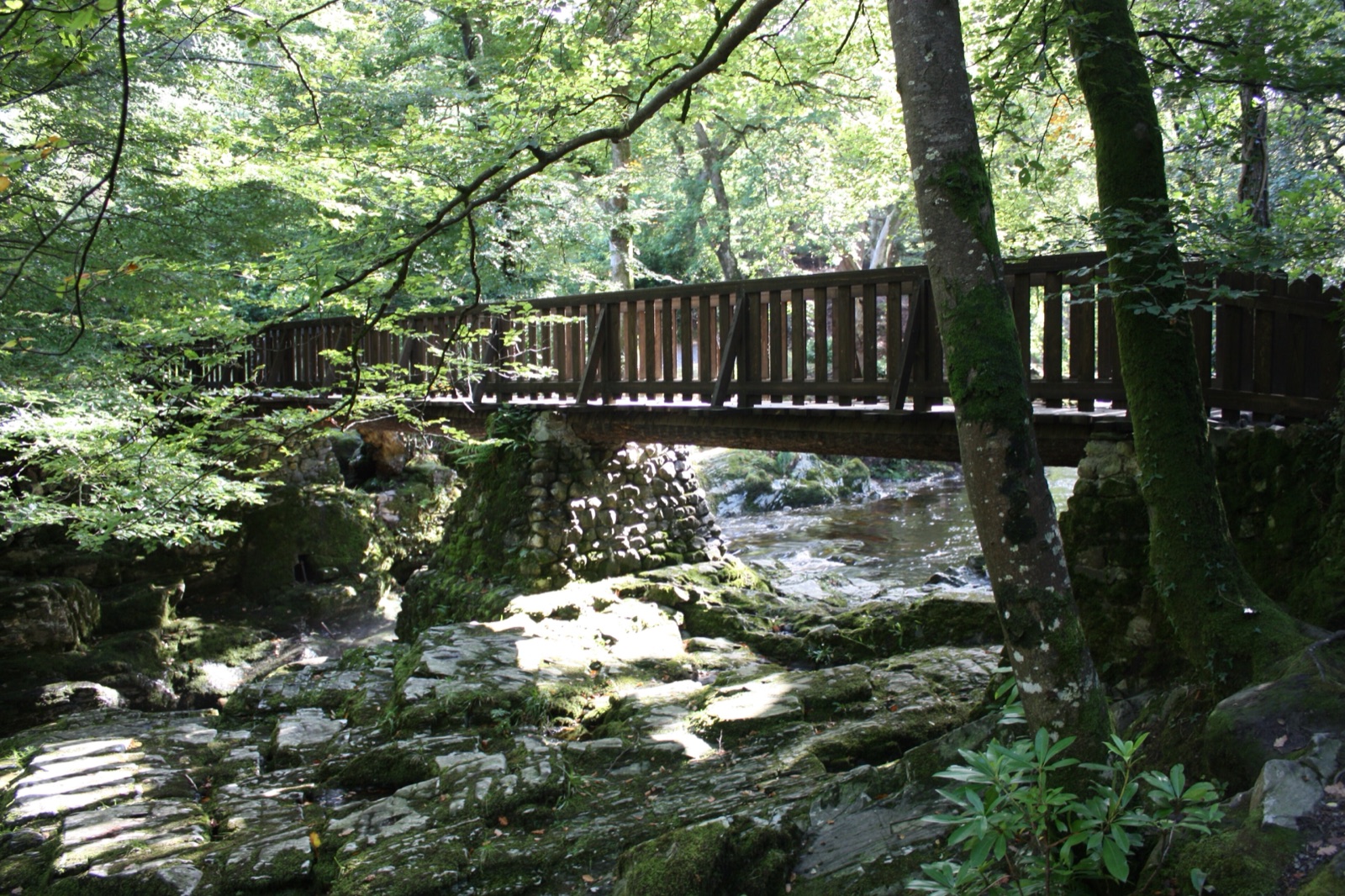 A wooden footbridge over a rocky stretch of the Shimna River, deep in sunlit forest at Tollymore