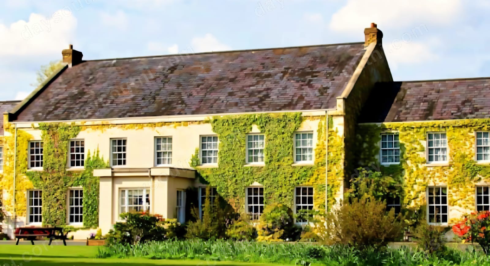 The long ivy-clad front of Tullylagan Country House with picnic benches on a green lawn in the sunshine