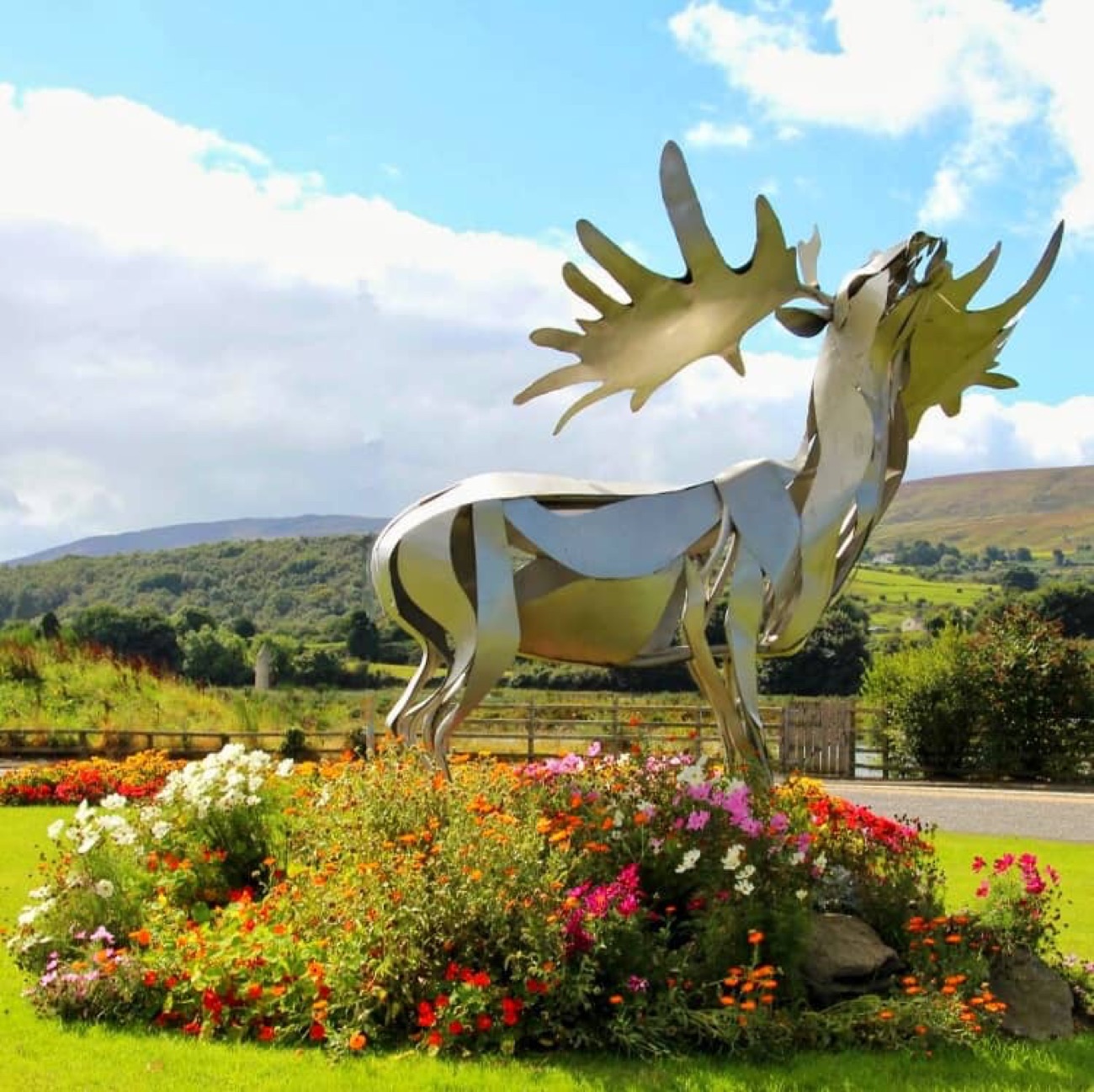 A golden stag sculpture standing among flower beds at Warrenpoint with the lough and mountains behind