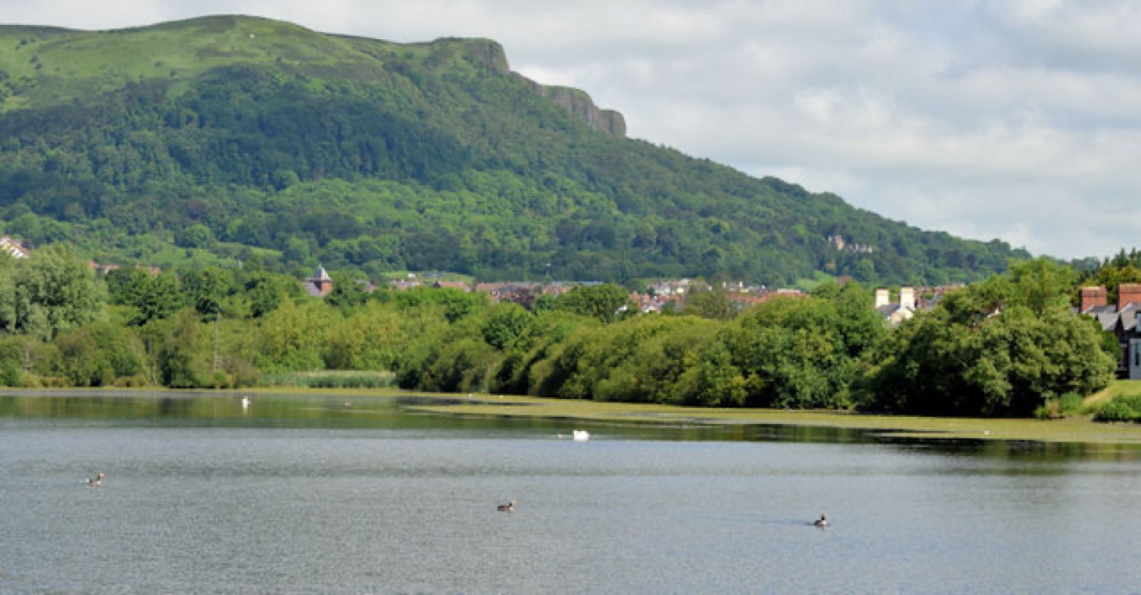 The Waterworks pond with Cavehill behind